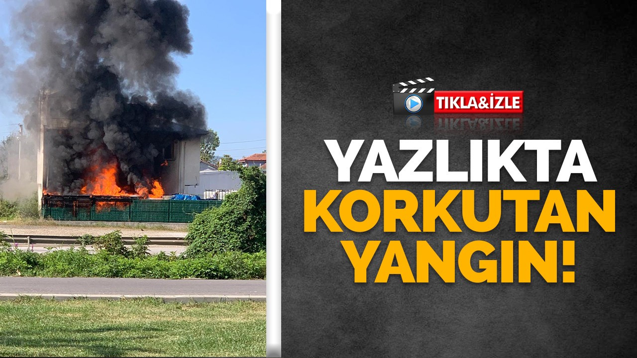 Yazlıkta korkutan yangın!