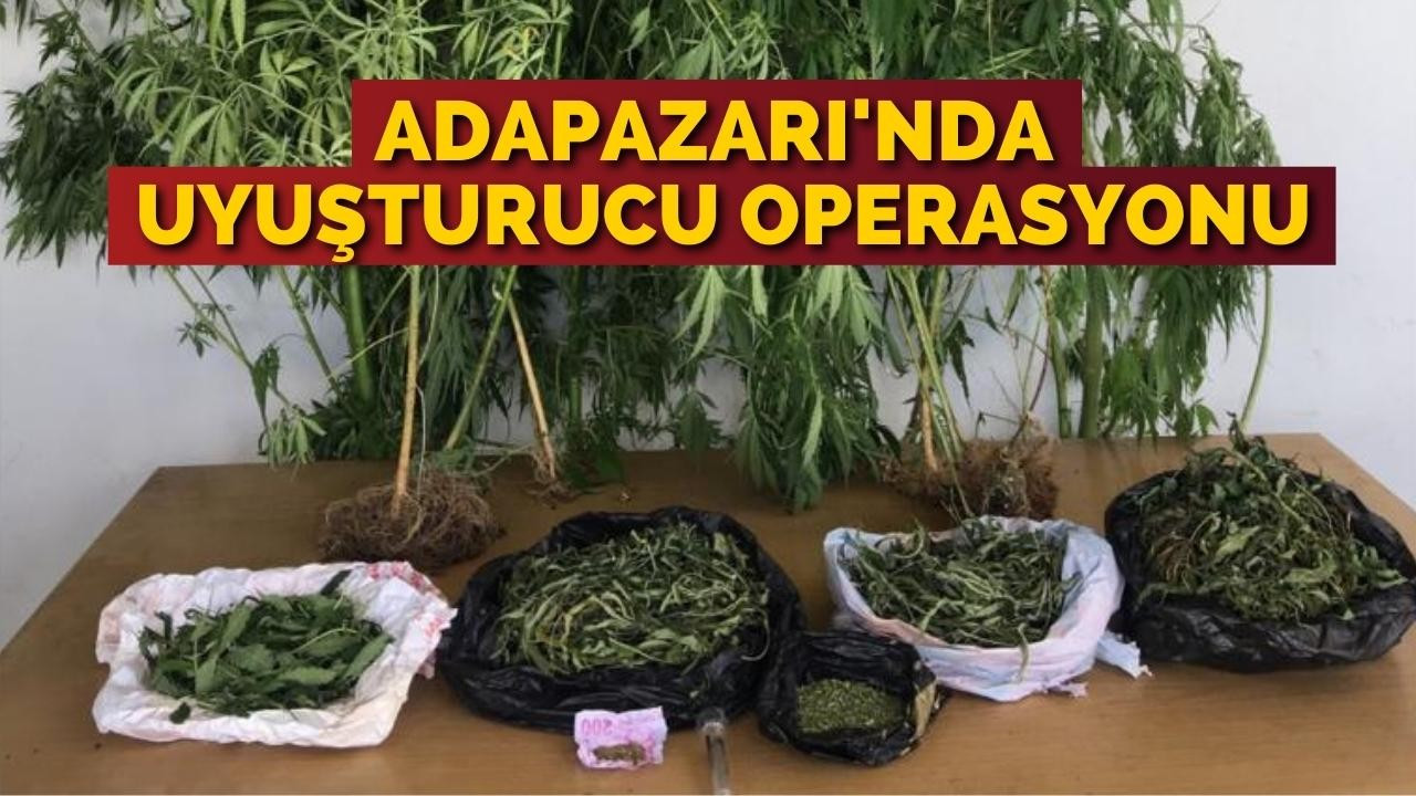 Adapazarı'nda uyuşturucu operasyonu