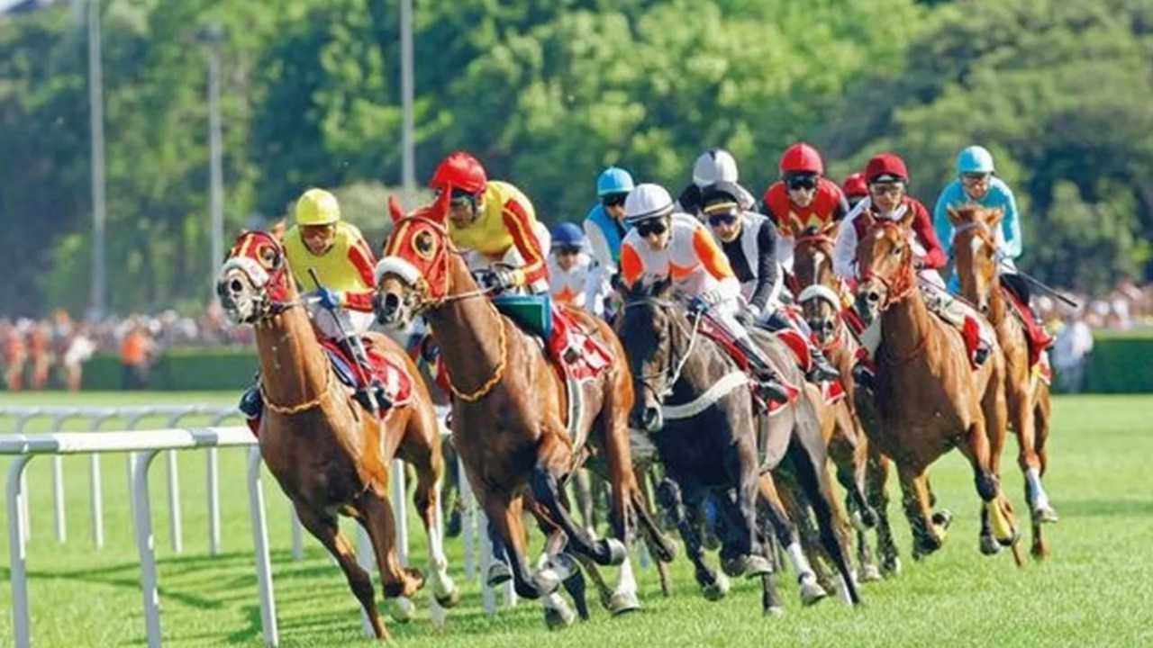 At yarışı Tahminleri Ankara 27 Eylül 2022