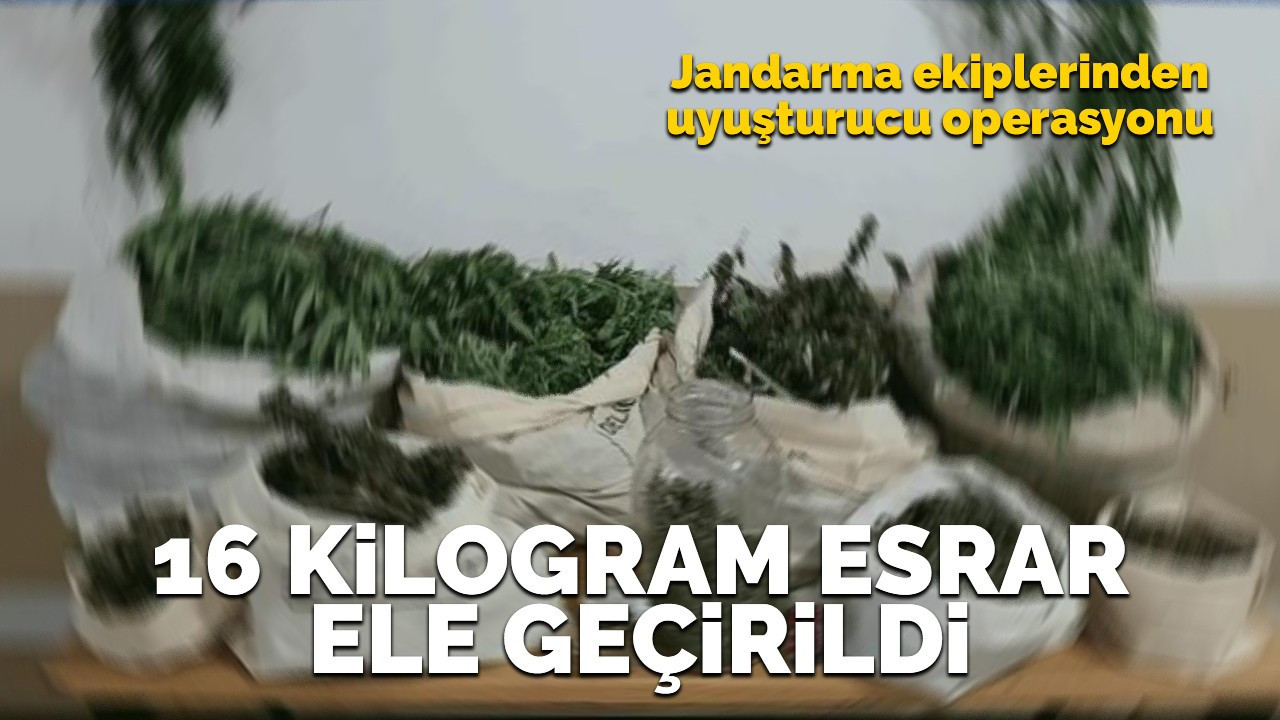 Jandarma ekiplerinden uyuşturucu operasyonu