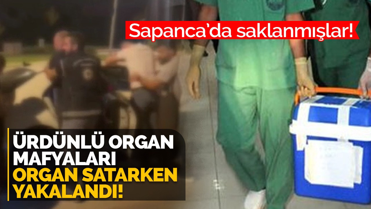 Ürdünlü organ mafyaları organ satarken yakalandı!