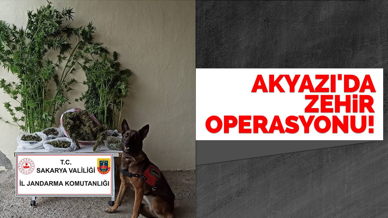 Akyazı'da zehir operasyonu!