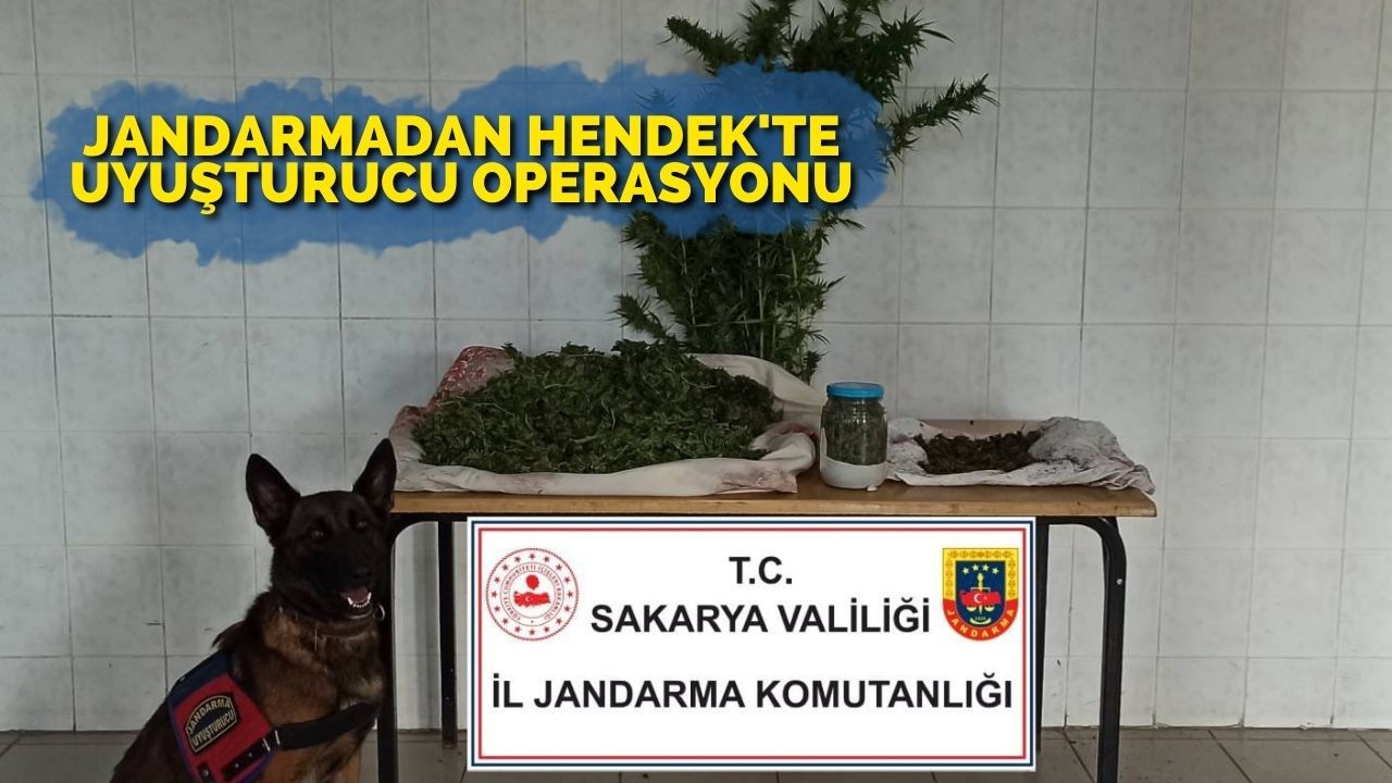 Jandarmadan Hendek'te Uyuşturucu Operasyonu