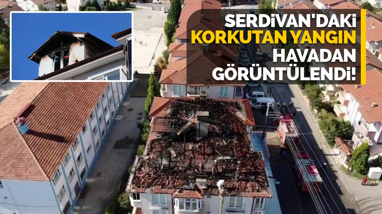 Serdivan'daki korkutan yangın havadan görüntülendi!