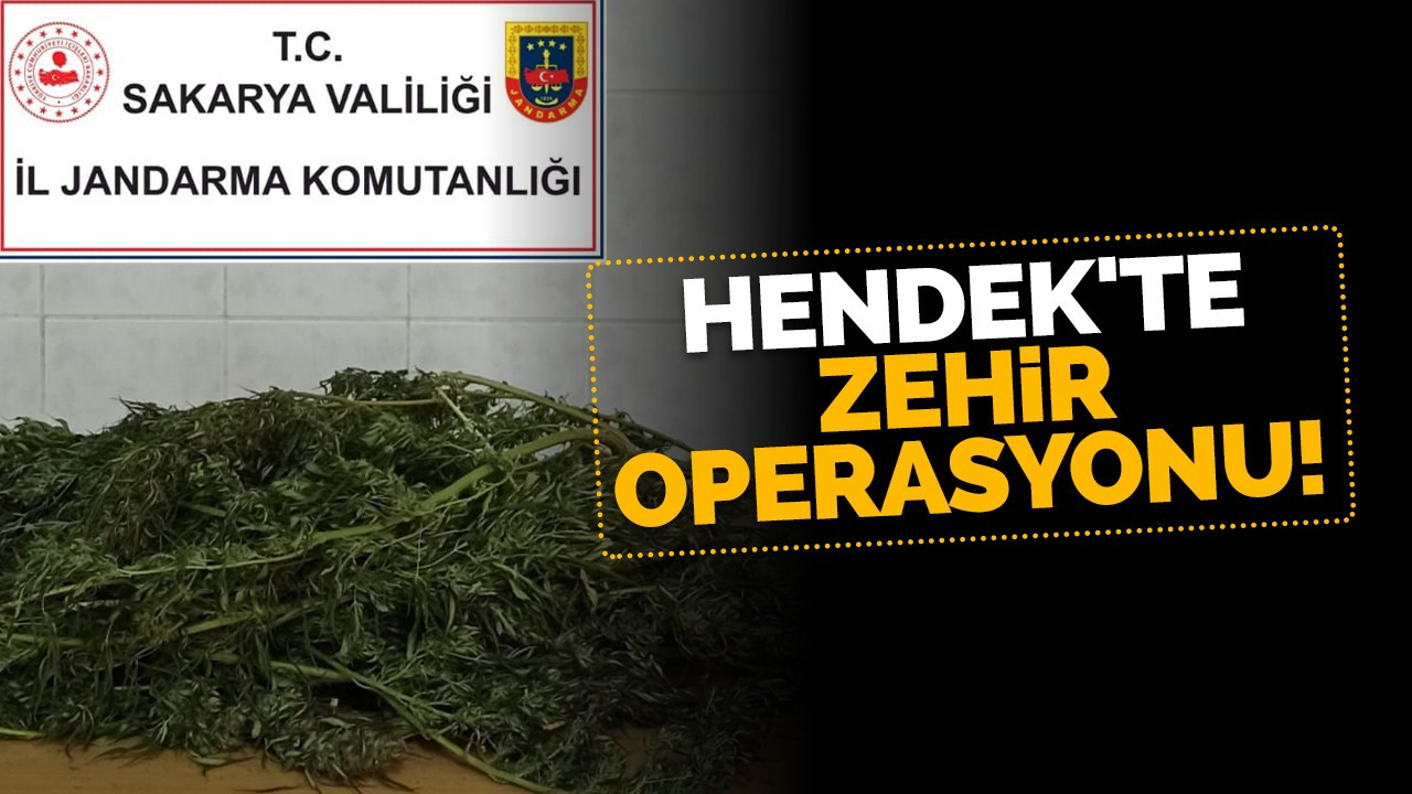 Hendek'te operasyon