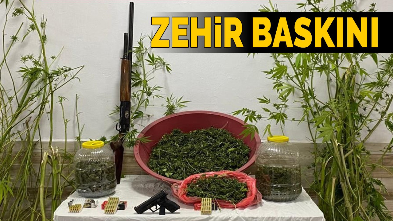 Karasu'da zehir baskını