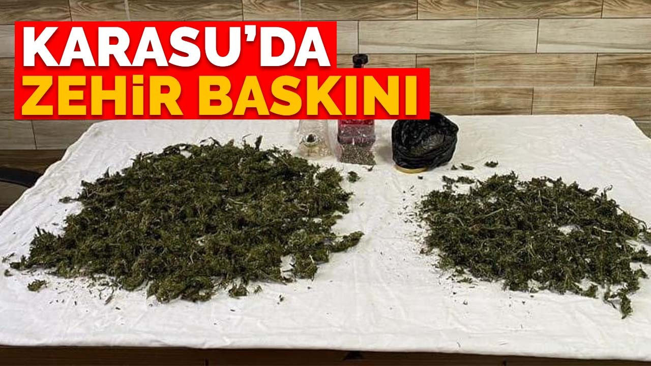 Karasu'da zehir baskını