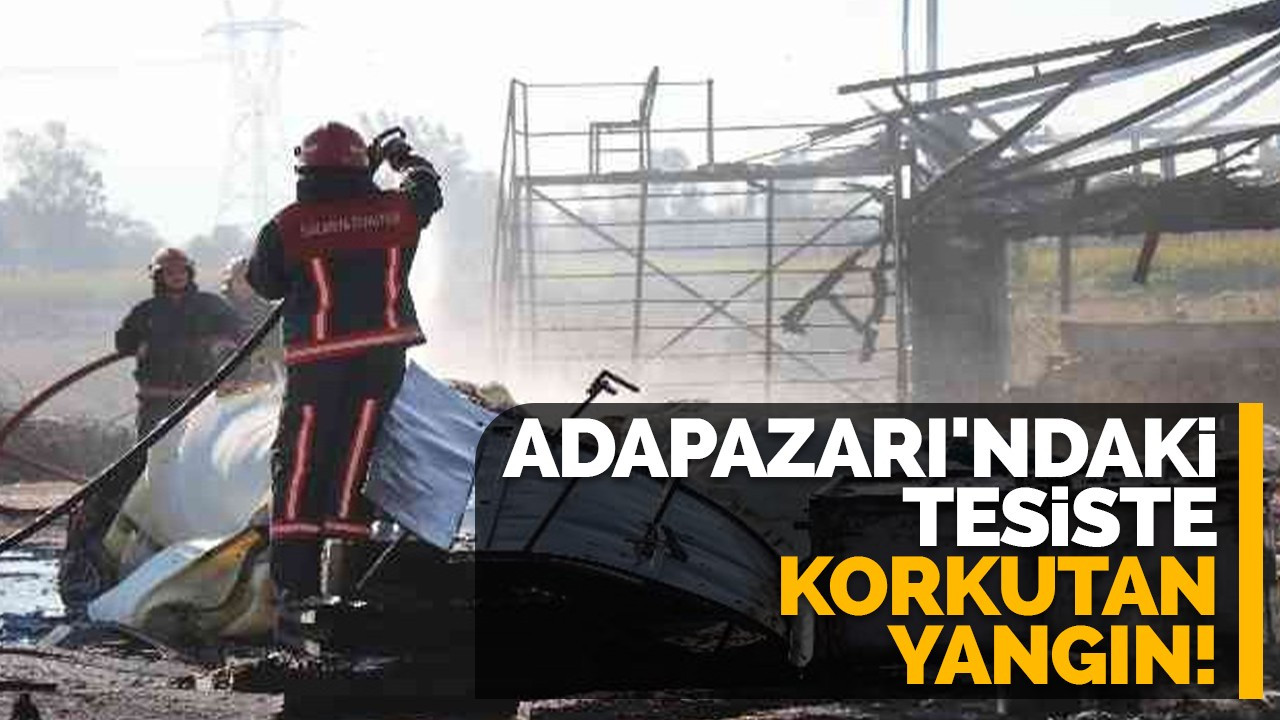 Adapazarı'ndaki tesiste korkutan yangın!