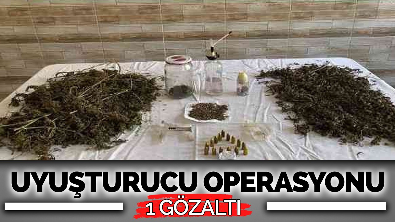 Sakarya'da uyuşturucu operasyonu: 1 gözaltı