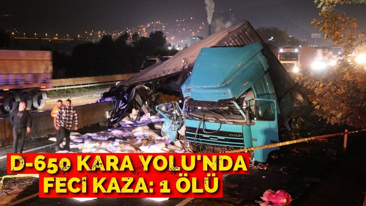 D-650 Kara Yolu'nda feci kaza: 1 ölü