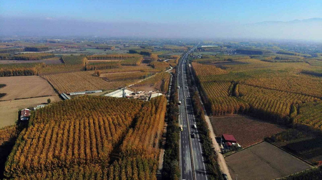 Anadolu ile Avrupa'yı bağlayan yolda sonbaharın renkleri - Sayfa 5