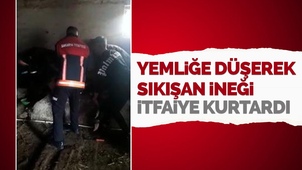 Yemliğe düşerek sıkışan ineği itfaiye kurtardı