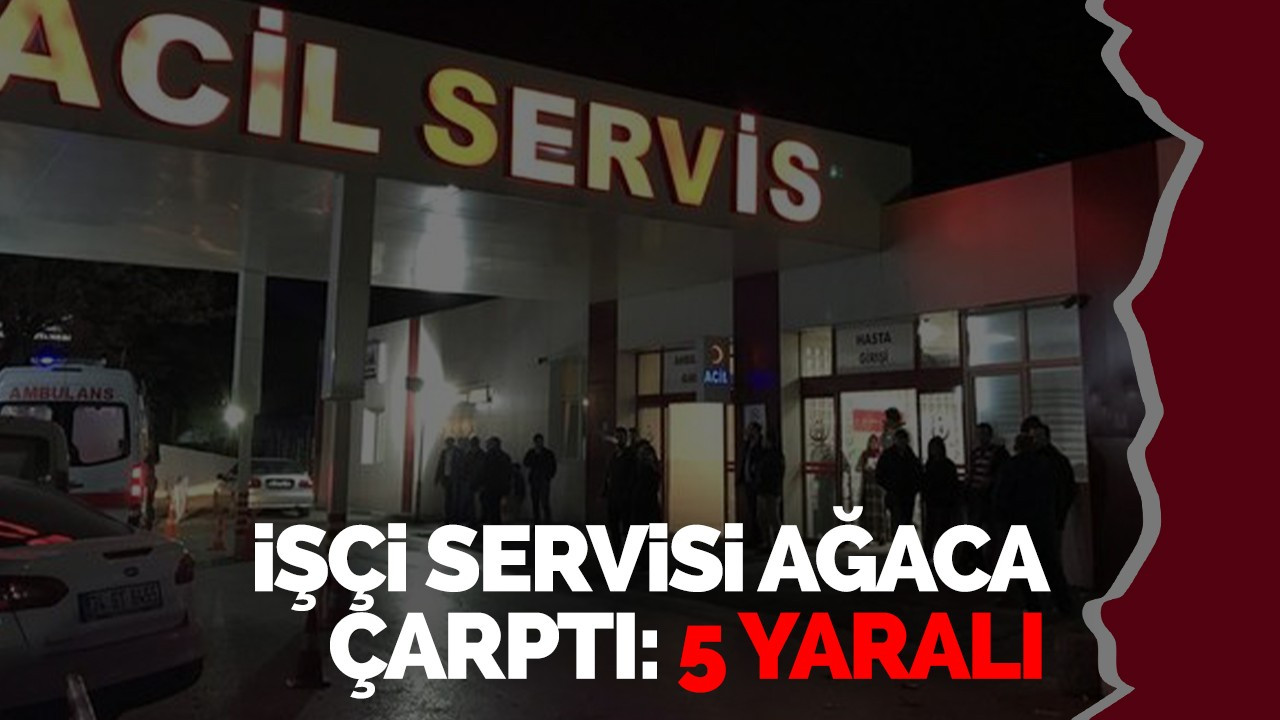 İşçi servisi ağaca çarptı: 5 yaralı