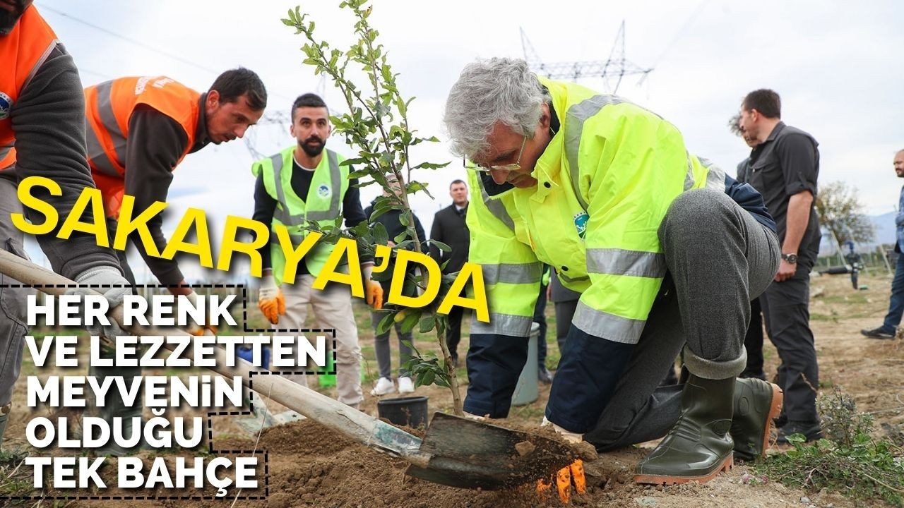 Sakarya’da her renk ve lezzetten meyvenin olduğu tek bahçe