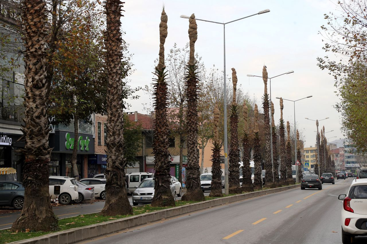 15 Temmuz Caddesi kışa hazır - Sayfa 7