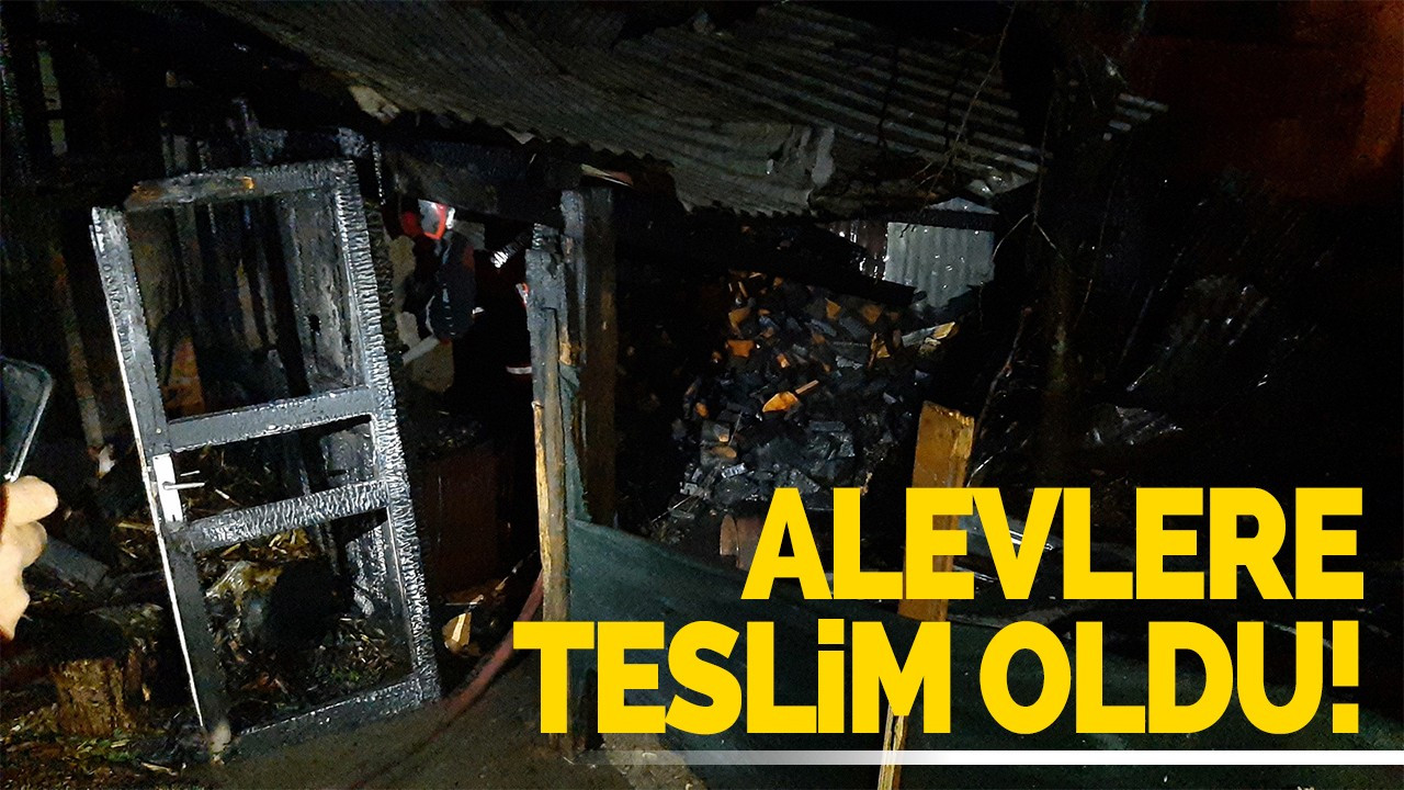 Alevlere teslim oldu!