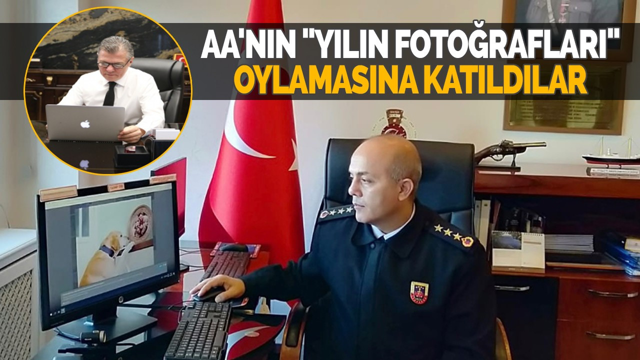 AA'nın "Yılın Fotoğrafları" oylamasına katıldılar