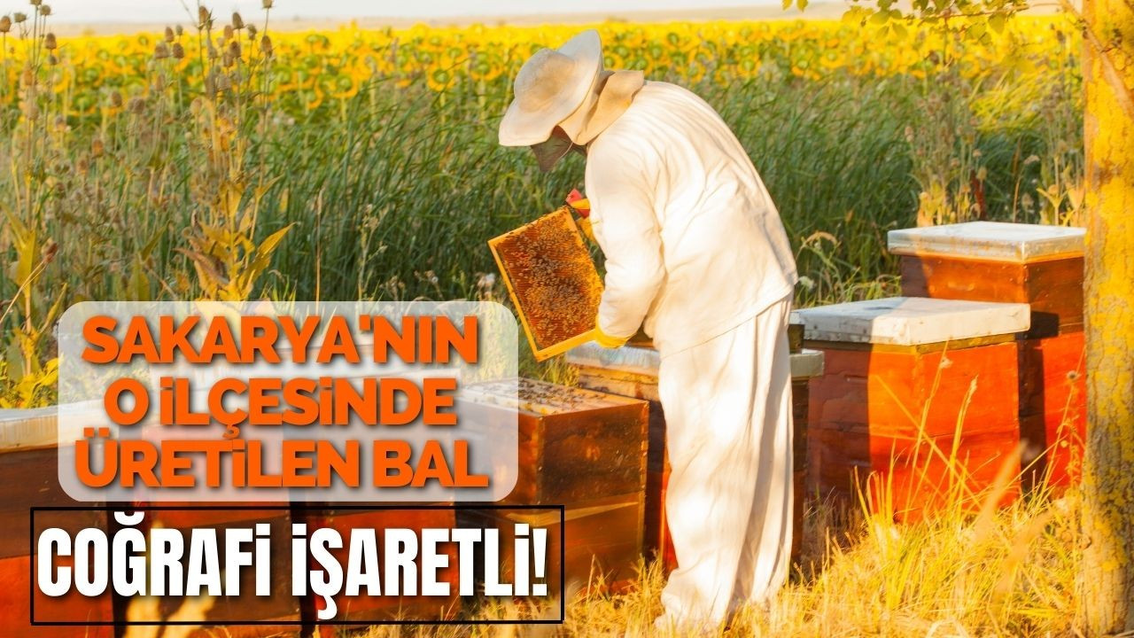 SAKARYA'NIN O İLÇESİNDE ÜRETİLEN BAL COĞRAFİ İŞARETLİ!