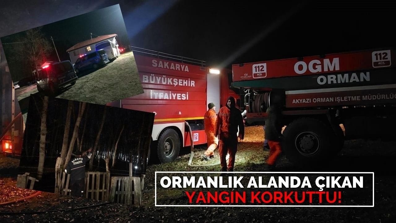 Ormanlık alanda çıkan yangın korkuttu!