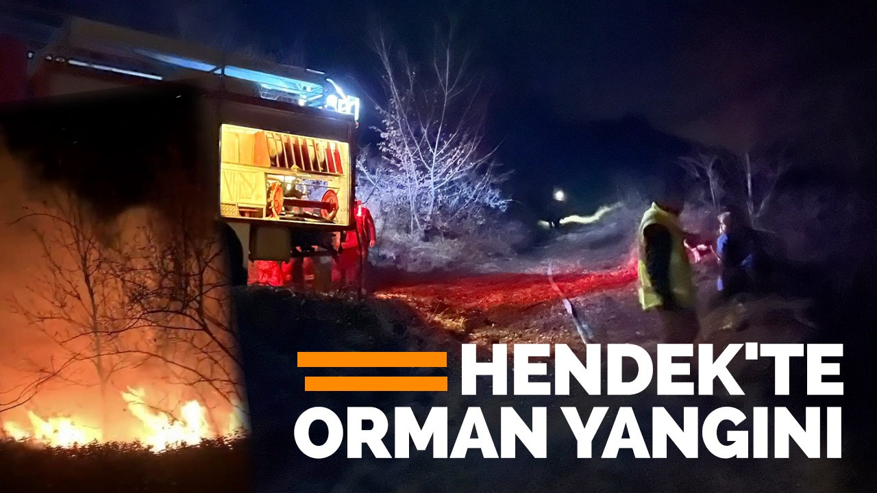 HENDEK'TE ORMAN YANGINI