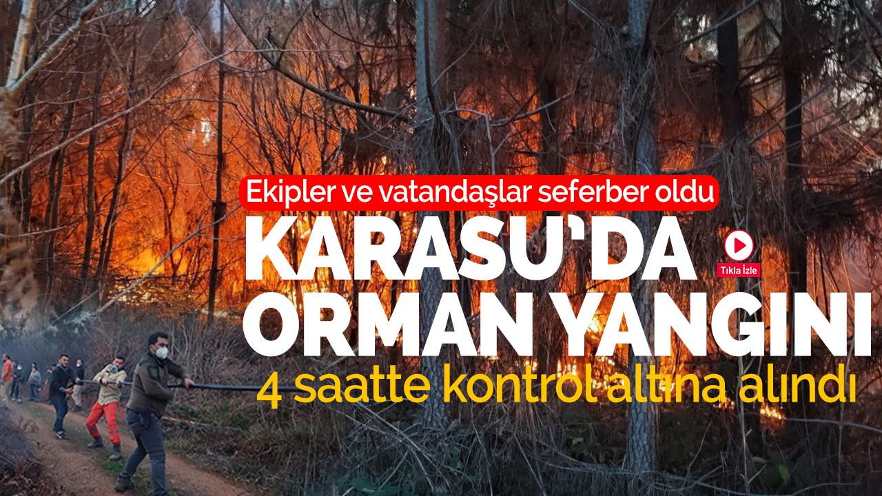 Karasu'da orman yangını