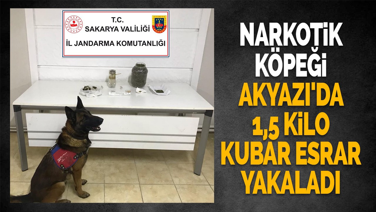 Narkotik köpeği Akyazı'da 1,5 kilo kubar esrar yakaladı