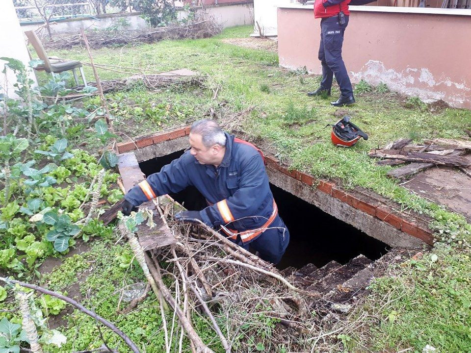 Su dolu çukura düşen inek, lahanayla kurtarıldı - Sayfa 7