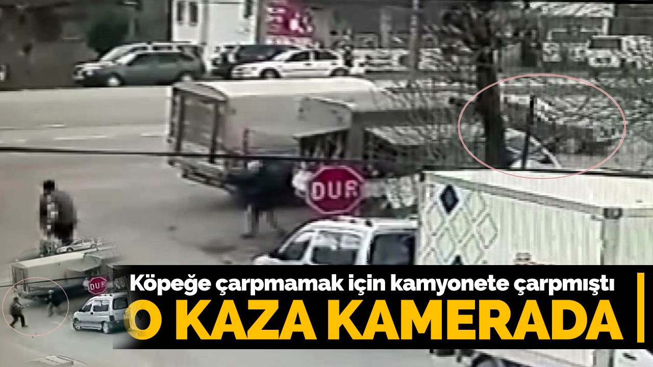 Köpeğe çarpmamak için kamyonete çarpmıştı! O kaza kamerada