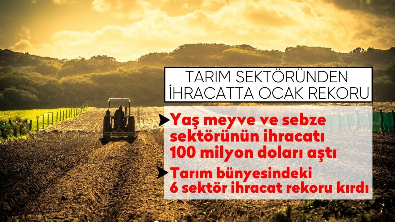 Tarım sektöründen ihracatta ocak rekoru