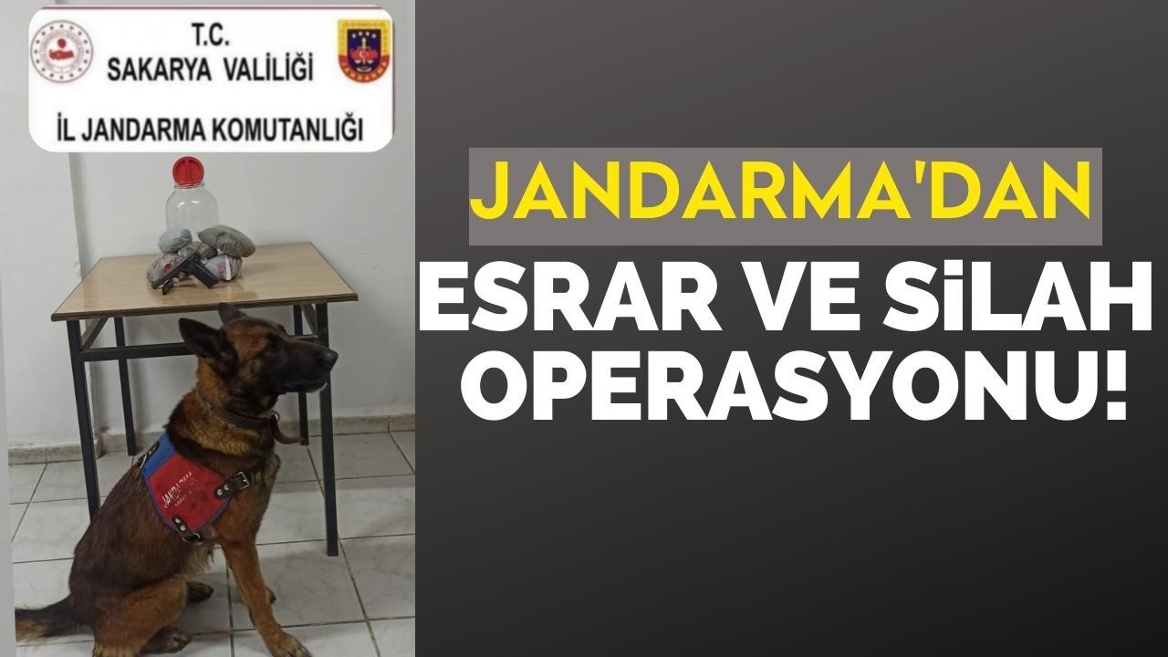 JANDARMA'DAN ESRAR  VE SİLAH OPERASYONU!