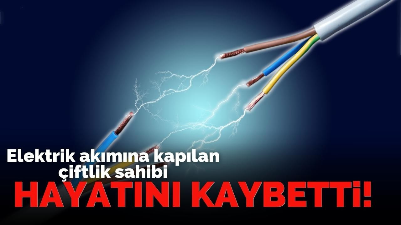 Elektrik akımına kapılan çiftlik sahibi hayatını kaybetti