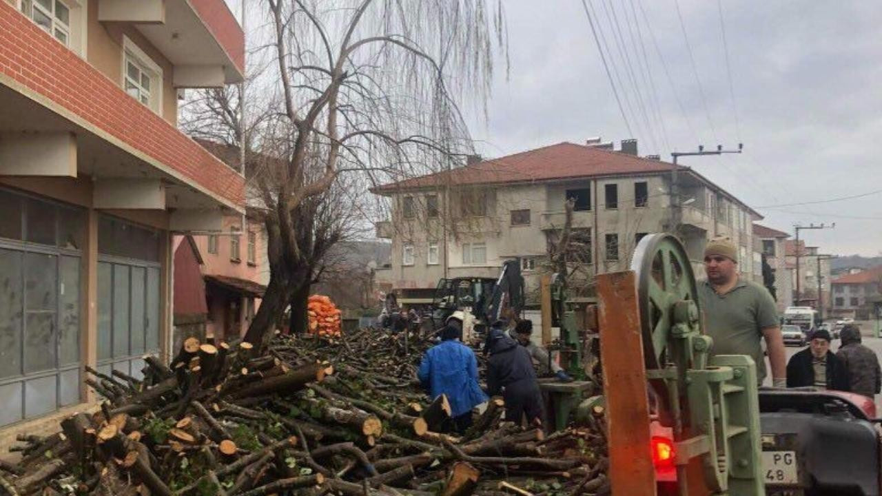 Sakarya’dan deprem bölgesine odun yardımı