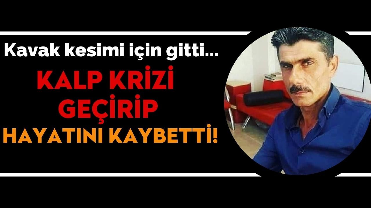 Kavak kesimi için gitti, kalp krizi geçirip hayatını kaybetti