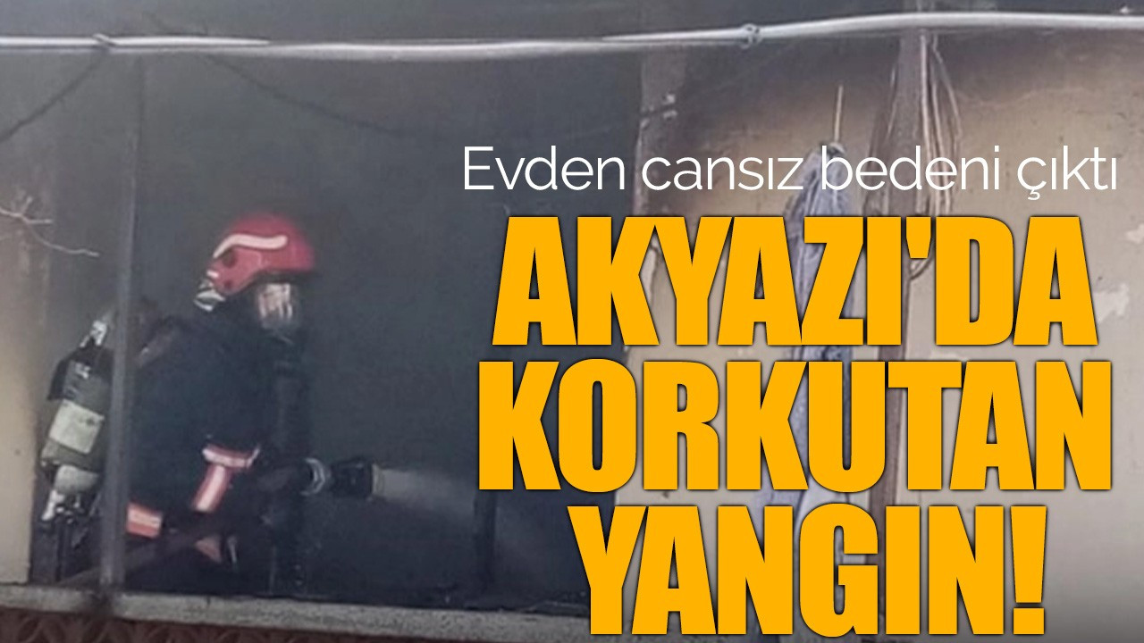 Akyazı'da korkutan yangın!