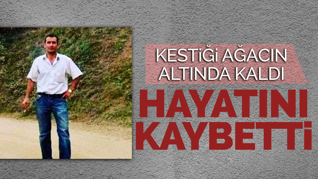 Kestiği ağacın altında kaldı, hayatını kaybetti