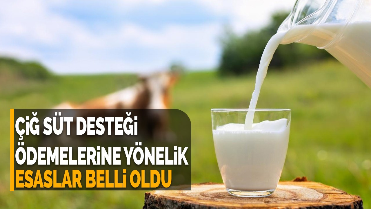 Çiğ süt desteği ödemelerine yönelik esaslar belli oldu