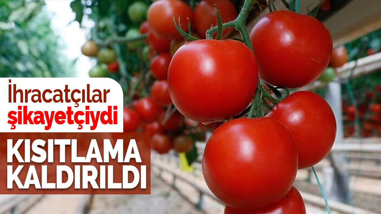 Domateste ihracat kısıtlaması kaldırıldı