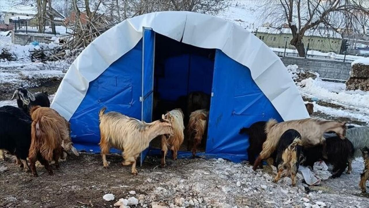 Deprem bölgesindeki tarım sektörüne yönelik yeni tedbirler