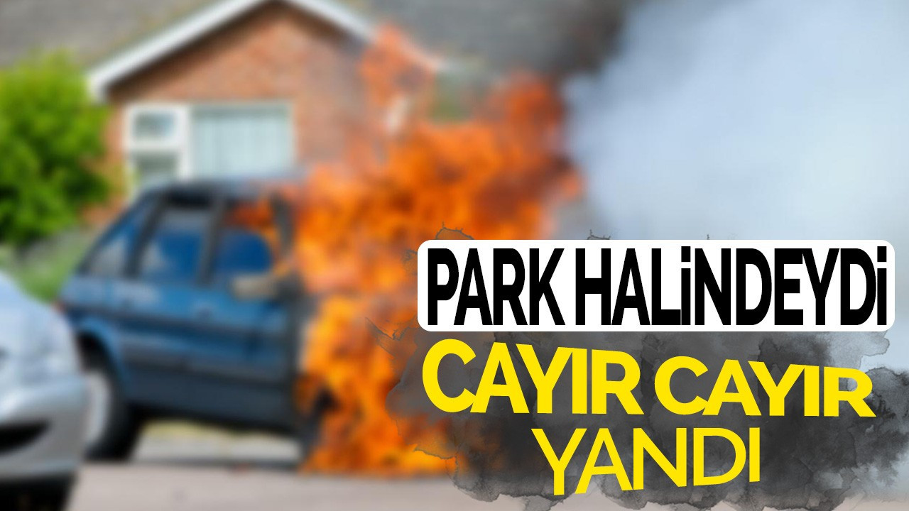 Park halindeki araç cayır cayır yandı