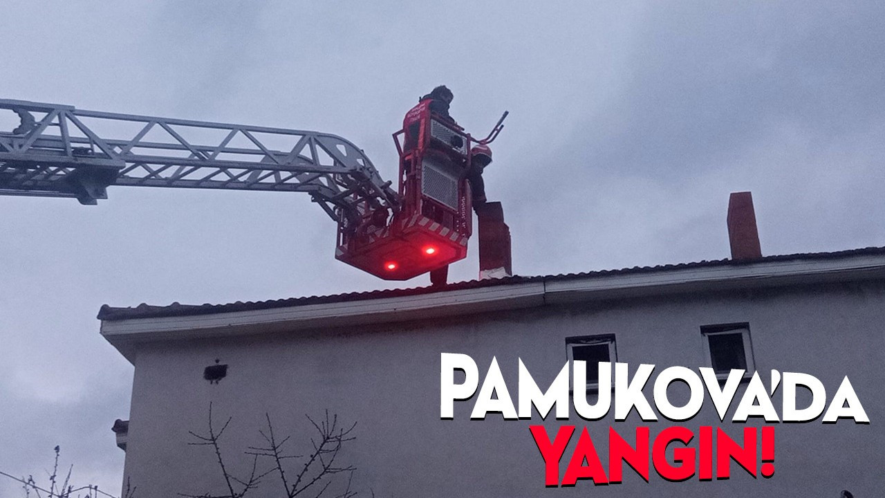 Pamukova'da yangın!