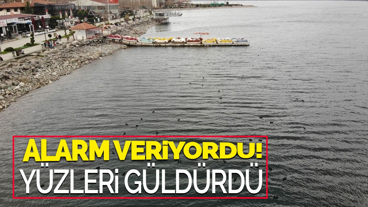 Alarm veriyordu! Yüzleri güldürdü