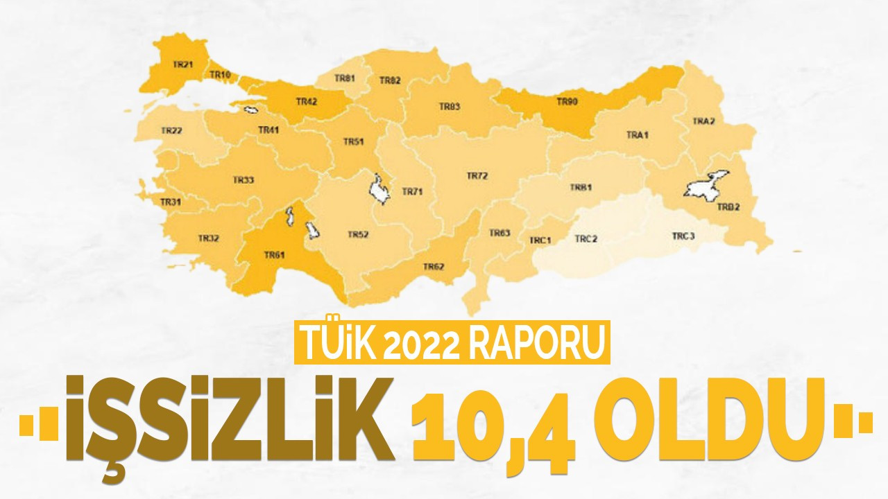 İşsizlik oranı geçen yıl yüzde 10,4 seviyesinde gerçekleşti