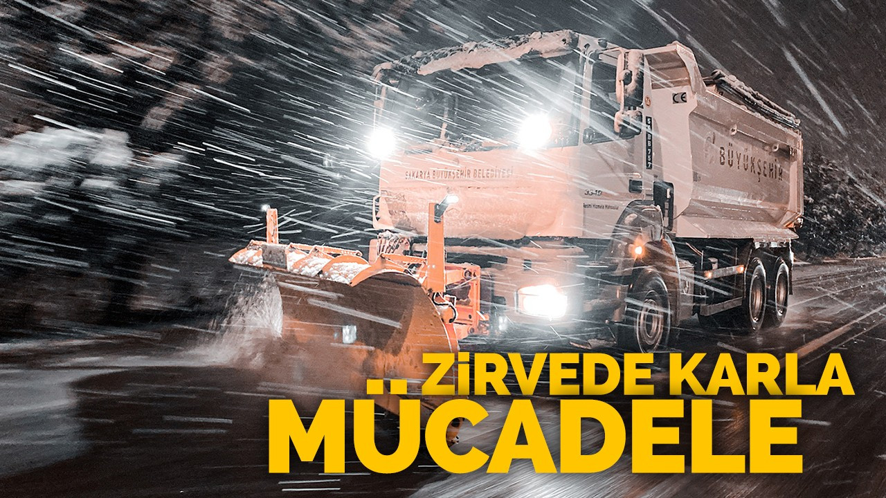 Zirvede karla mücadele