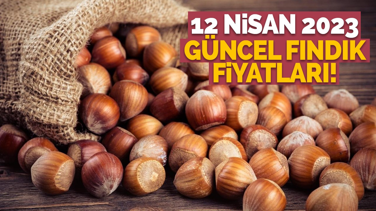 12 Nisan 2023 güncel fındık fiyatları!