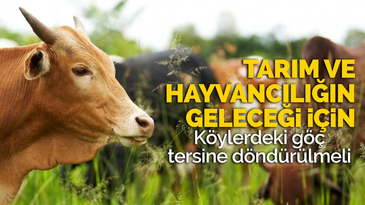 Tarım ve hayvancılığın geleceği için köylerdeki göç tersine döndürülmeli