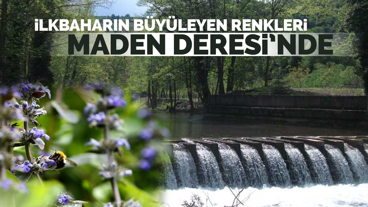 İlkbaharın büyüleyen renkleri Maden Deresi'nde