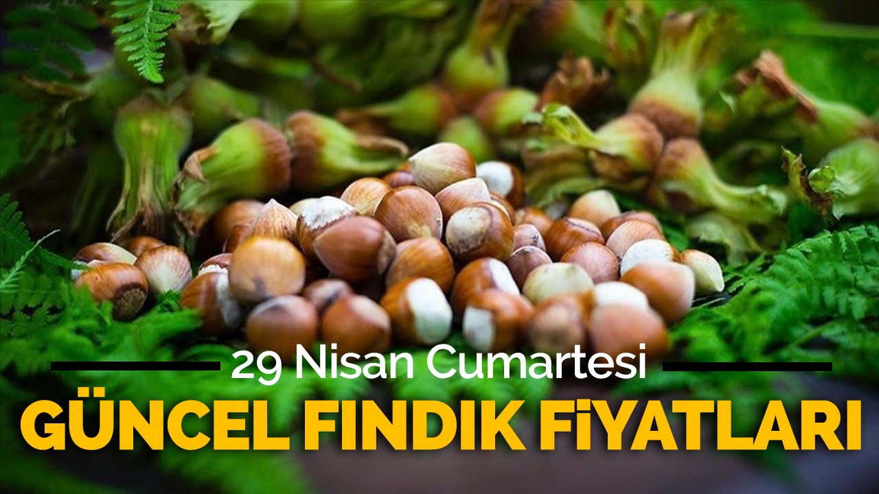 29 Nisan 2023 güncel fındık fiyatları!