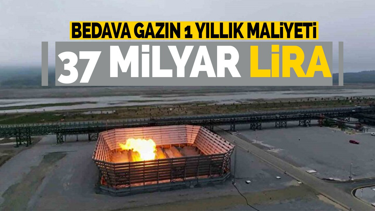 Bedava gazın 1 yıllık maliyeti 37 milyar lira