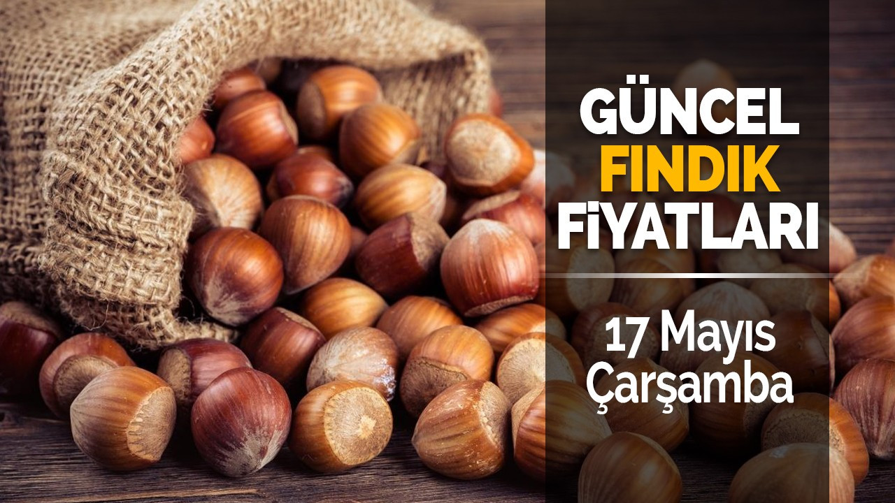 17 Mayıs Çarşamba 2023 güncel fındık fiyatları!