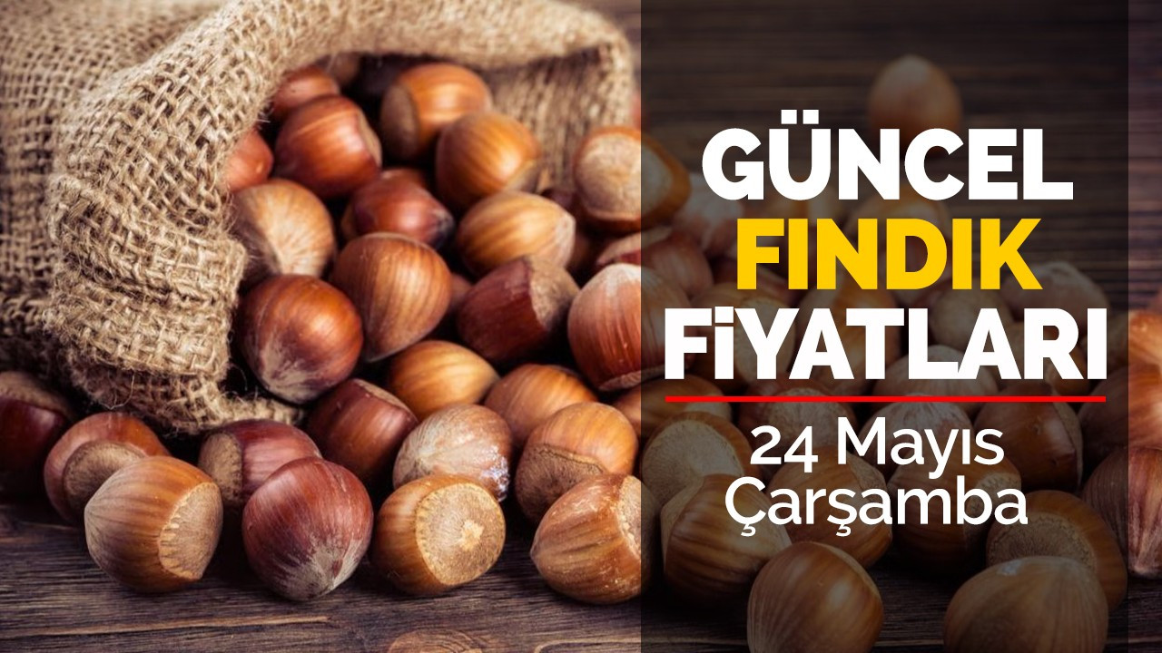 24 Mayıs Çarşamba 2023 güncel fındık fiyatları!